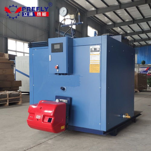 立浦熱能500kg燃?xì)庹羝l(fā)生器 高效熱能設(shè)備助力工業(yè)清洗